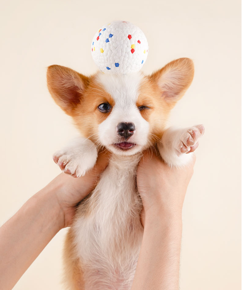 Pet ball