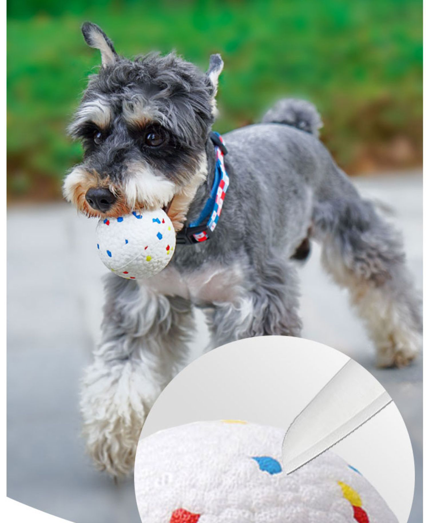 Pet ball