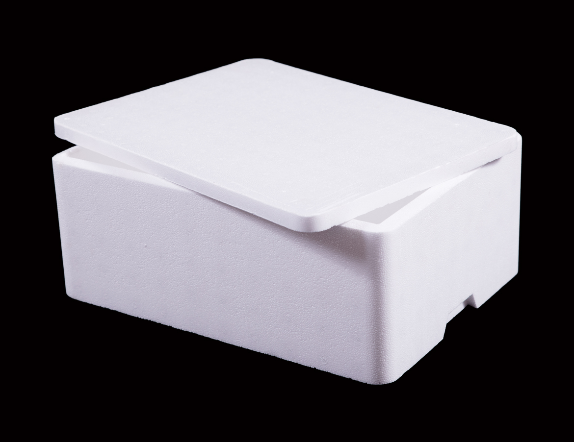 EPS Berry Box