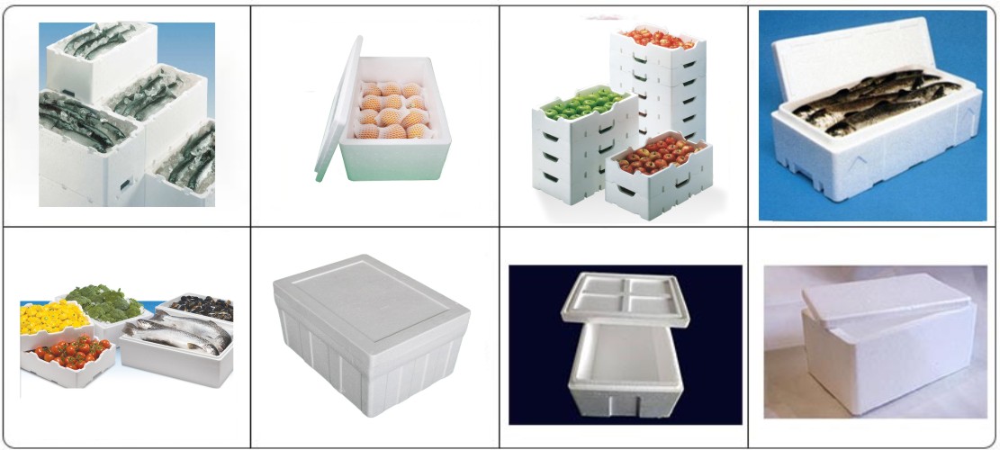 EPS Foam Fruit Fish Box