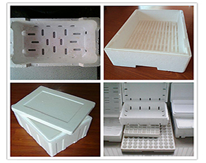 EPS foam packages-1