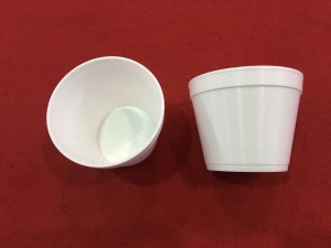 Prodotto a macchina della tazza della schiuma di ENV (12)