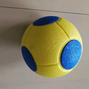 pet ball1