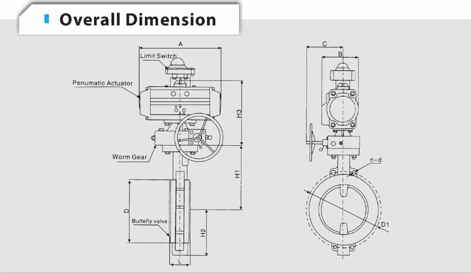 Buttefly Valve4