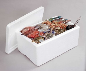 EPS Foam Fish Boxes