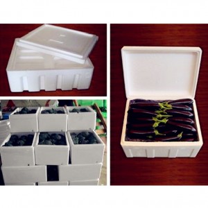 EPS Foam Fruit Fish Box Mould