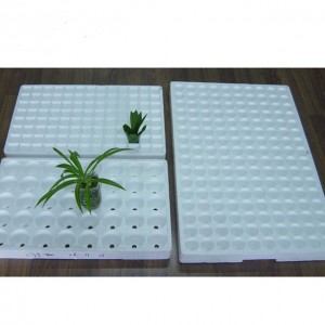 EPS Styrofoam Tray Seed Machine