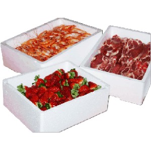 High Quality EPS Expandable Styrofoam Packaging Boxes Vacuum Forming Machine