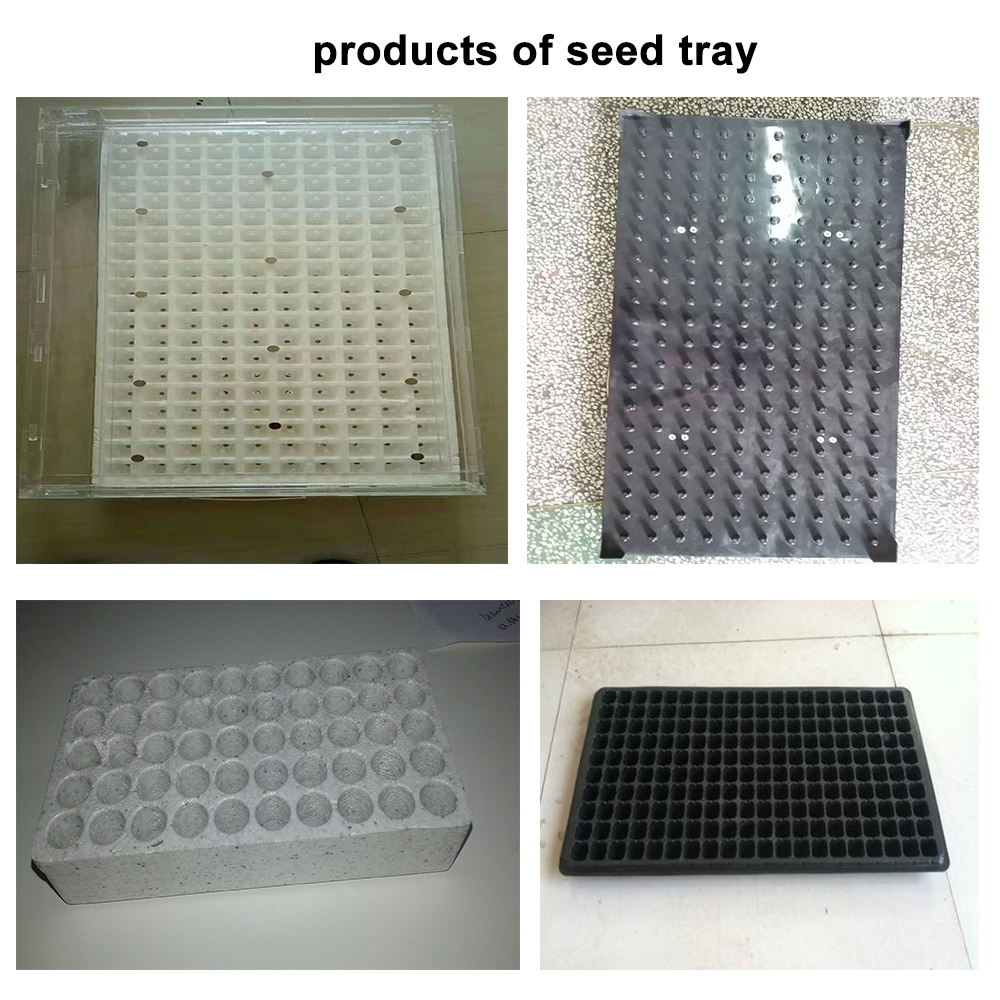 products of seed tray